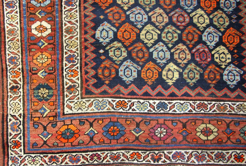 Runner Ziegler Carpet - Shirvan - 440 x 113 cm - brun