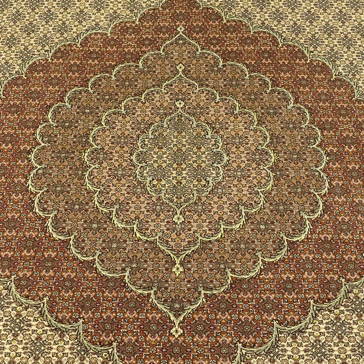 Persisk matta - Tabriz - Royal - Kungliga - 351 x 250 cm - mörk beige