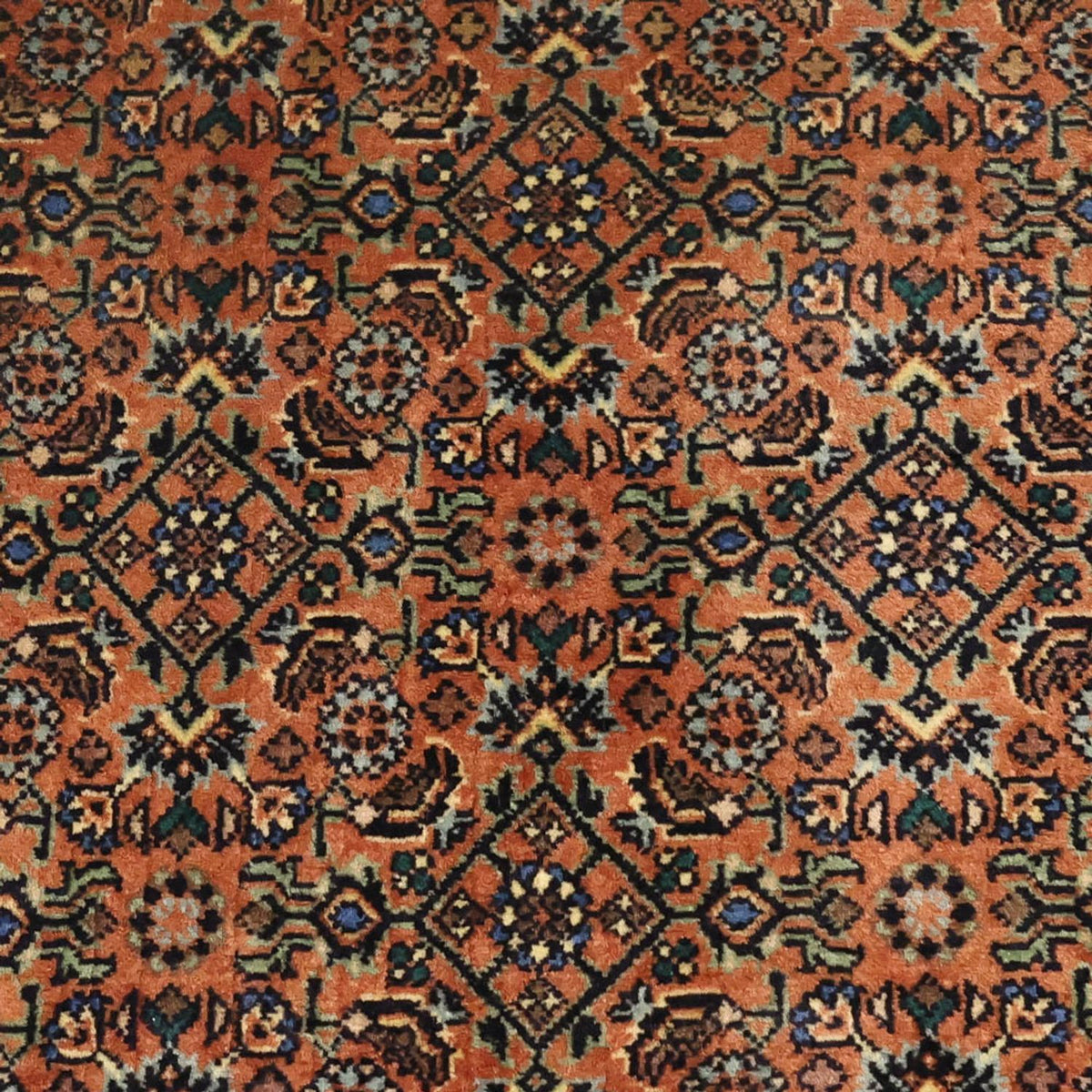 Persisk matta - Bijar - 144 x 71 cm - mörk beige