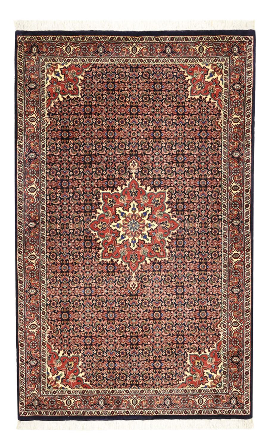 Persisk matta - Bijar - 146 x 90 cm - mörk beige
