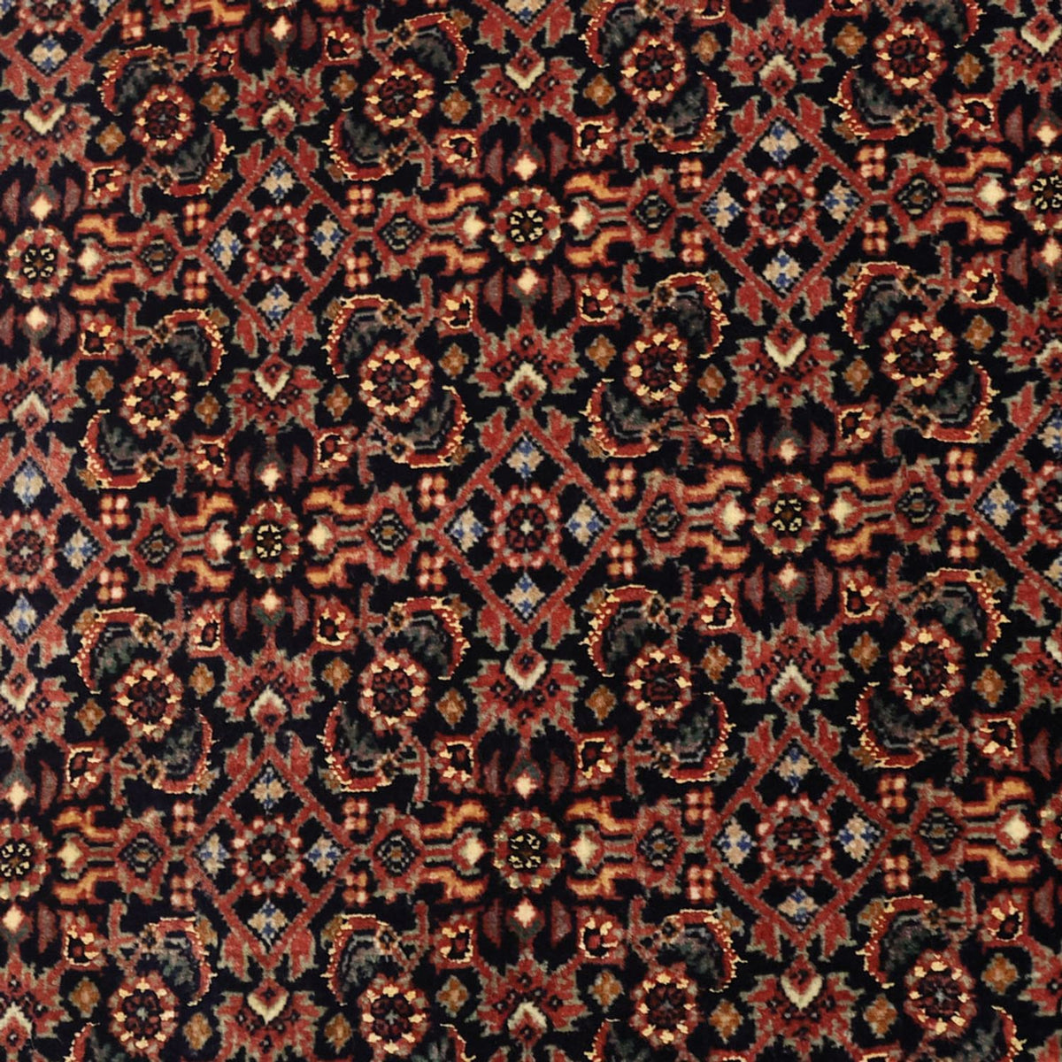 Persisk matta - Bijar - 152 x 88 cm - mörk beige