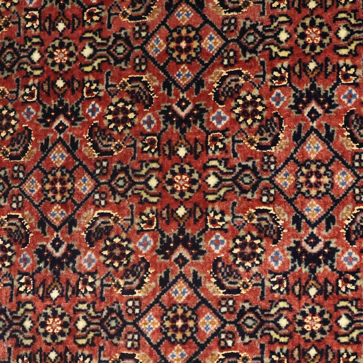 Persisk matta - Bijar - 142 x 72 cm - mörk beige