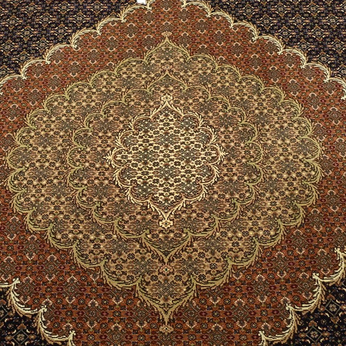 Persisk matta - Tabriz - Royal - Halsband i siden - 362 x 251 cm - mörk beige