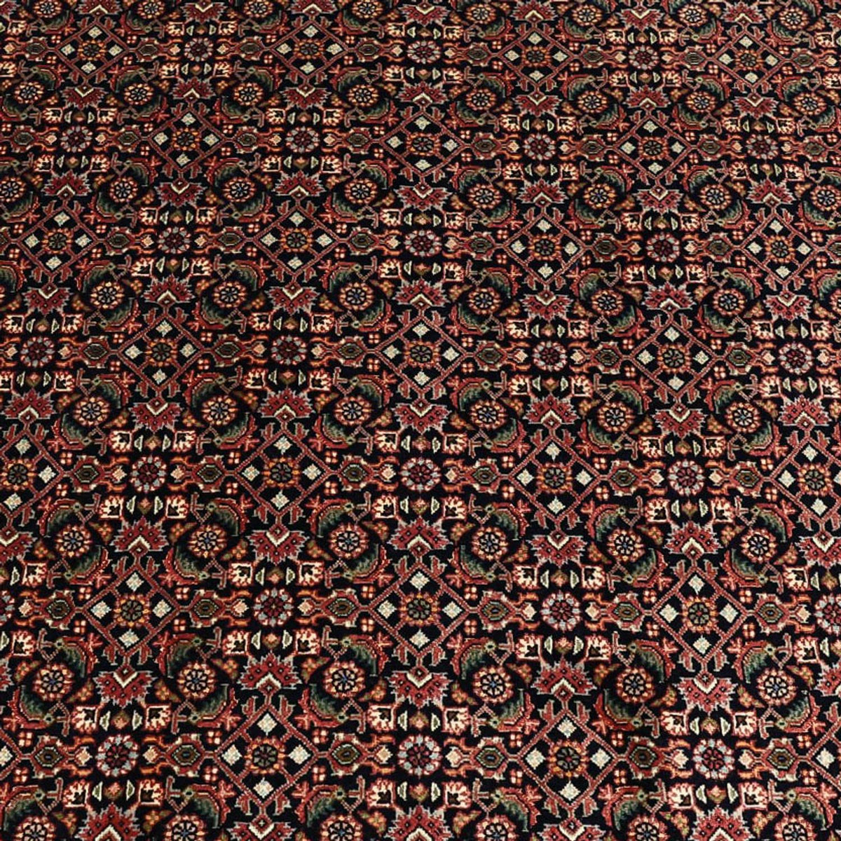 Persisk matta - Bijar - 337 x 255 cm - mörkblå