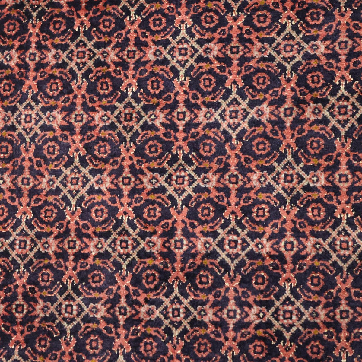 Persisk matta - Bijar - 150 x 85 cm - rost