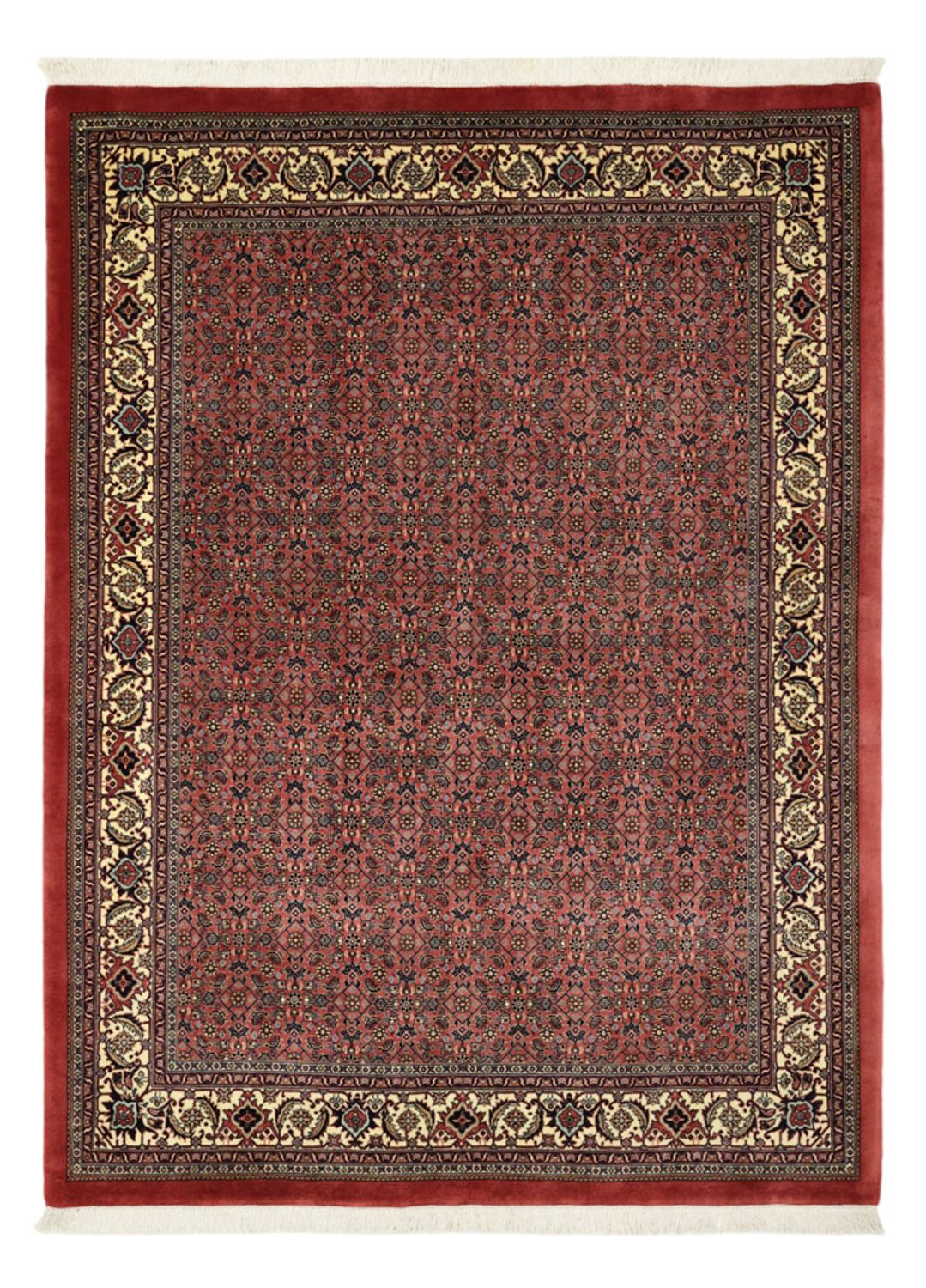 Persisk matta - Bijar - Kungliga - 204 x 152 cm - mörk beige