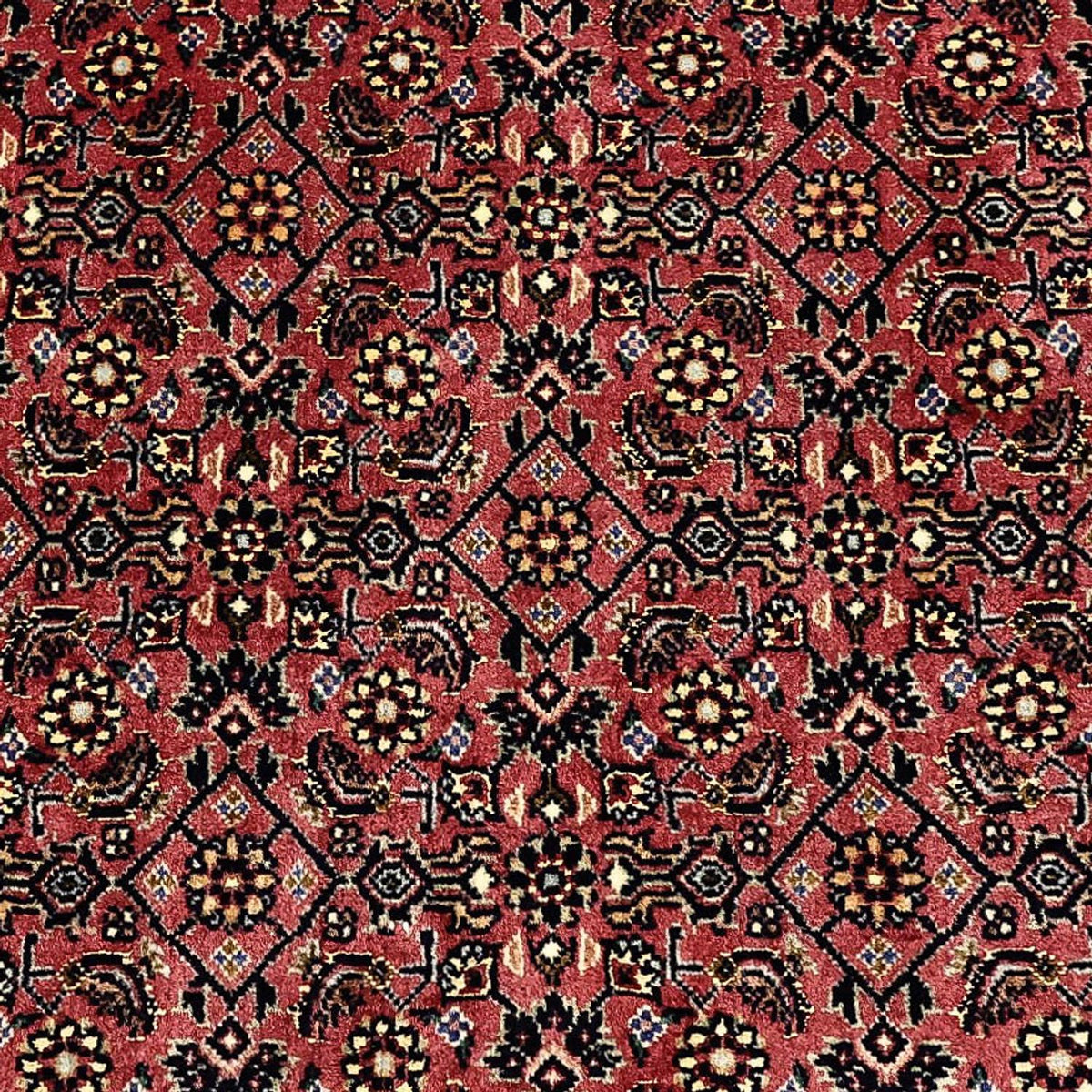 Persisk matta - Bijar - Kungliga - 204 x 152 cm - mörk beige