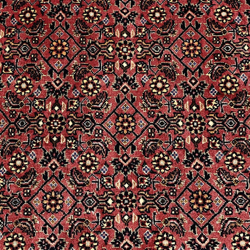 Persisk matta - Bijar - Kungliga - 204 x 152 cm - mörk beige