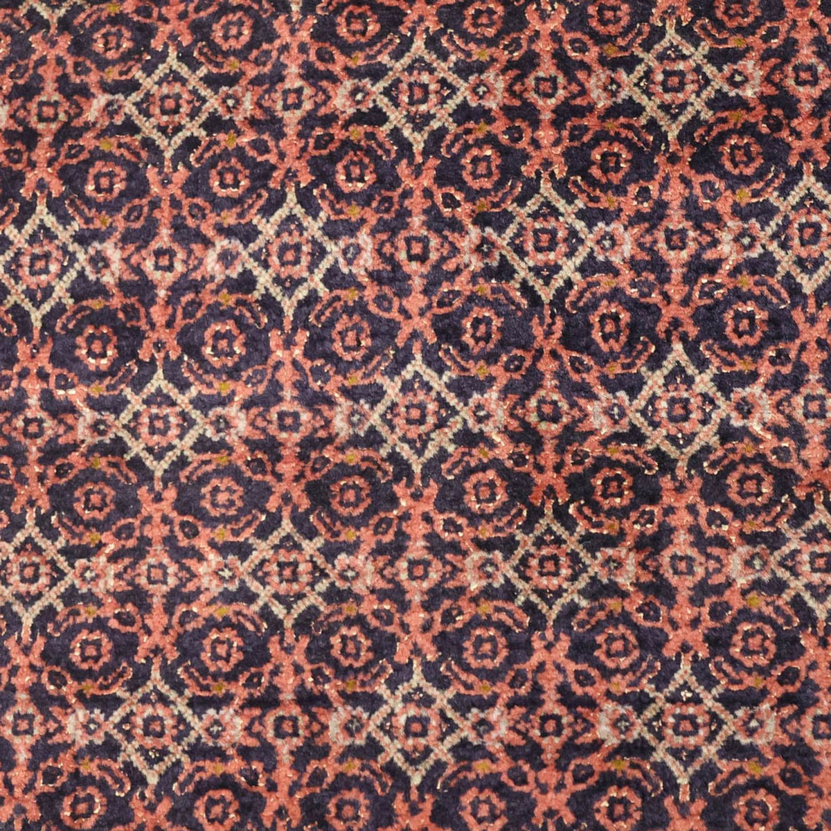 Persisk matta - Bijar - 143 x 85 cm - rost