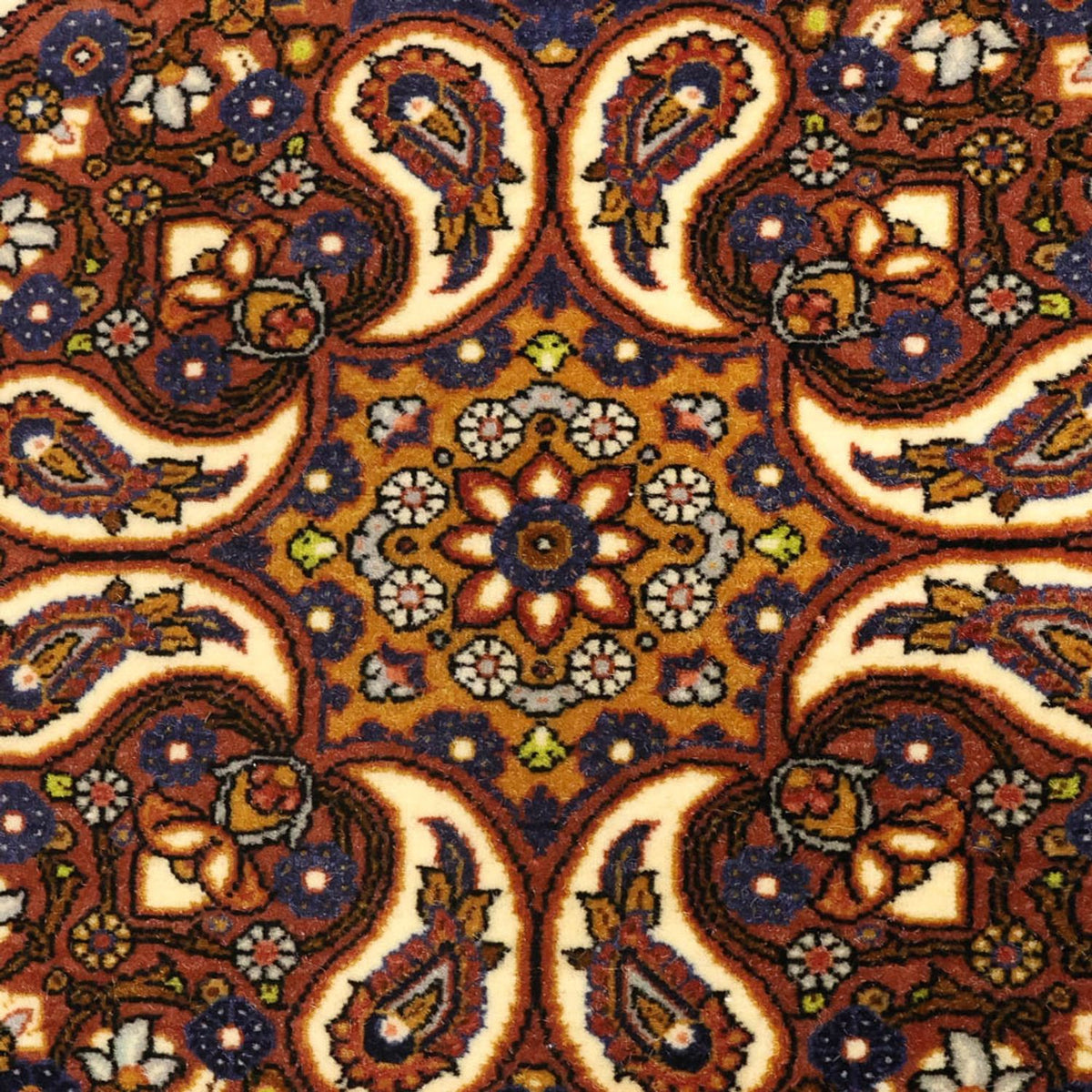 Persisk matta - Classic - 159 x 107 cm - flerfärgad