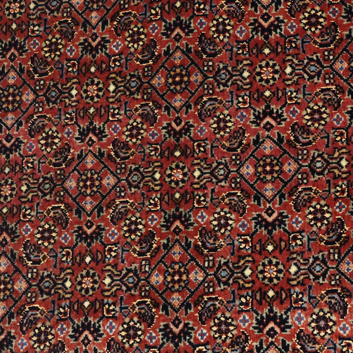 Persisk matta - Bijar - Kungliga - 148 x 91 cm - mörk beige