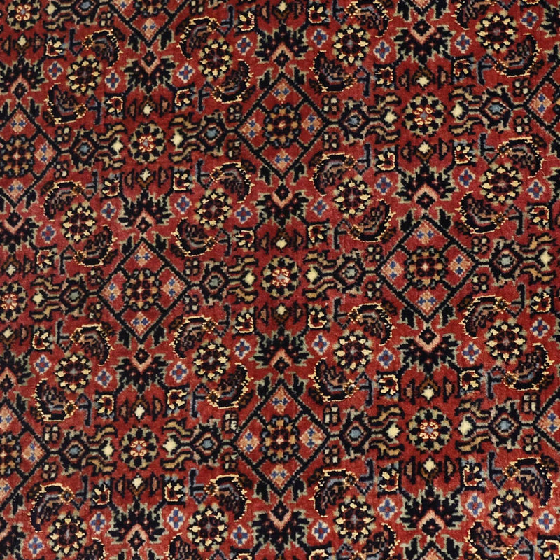 Persisk matta - Bijar - Kungliga - 148 x 91 cm - mörk beige
