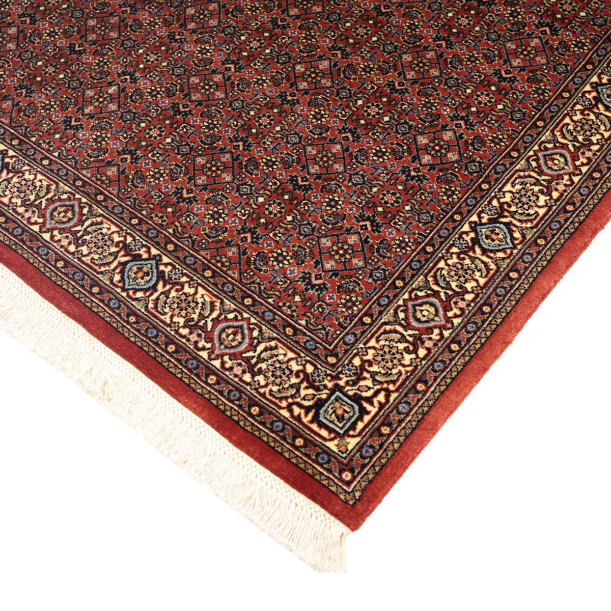 Persisk matta - Bijar - Kungliga - 148 x 91 cm - mörk beige