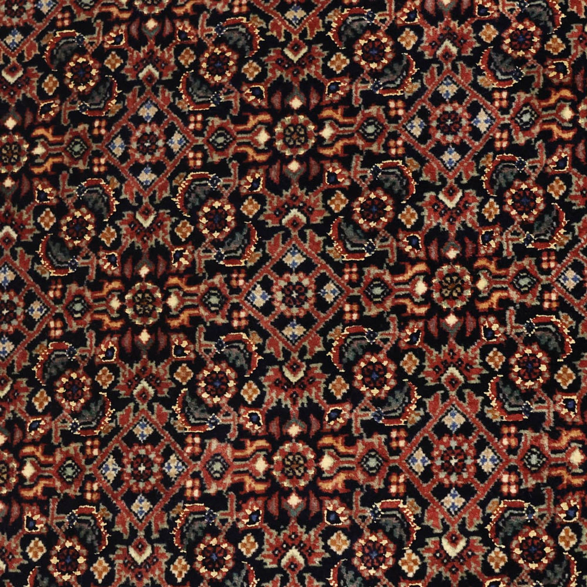 Persisk matta - Bijar - Kungliga - 150 x 91 cm - mörk beige