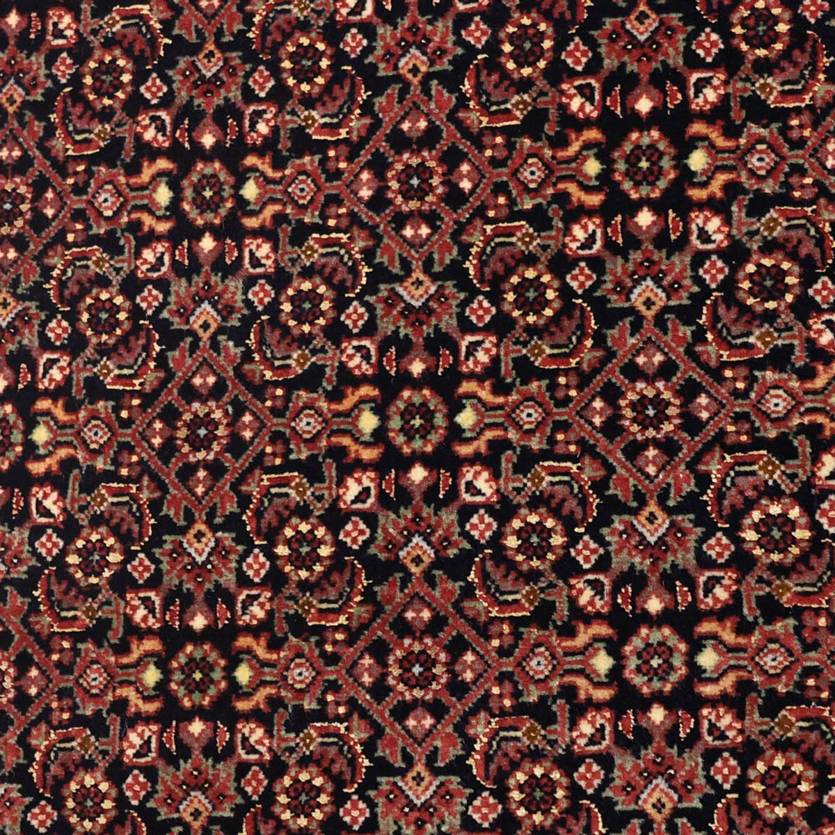 Persisk matta - Bijar - Kungliga - 148 x 89 cm - mörk beige