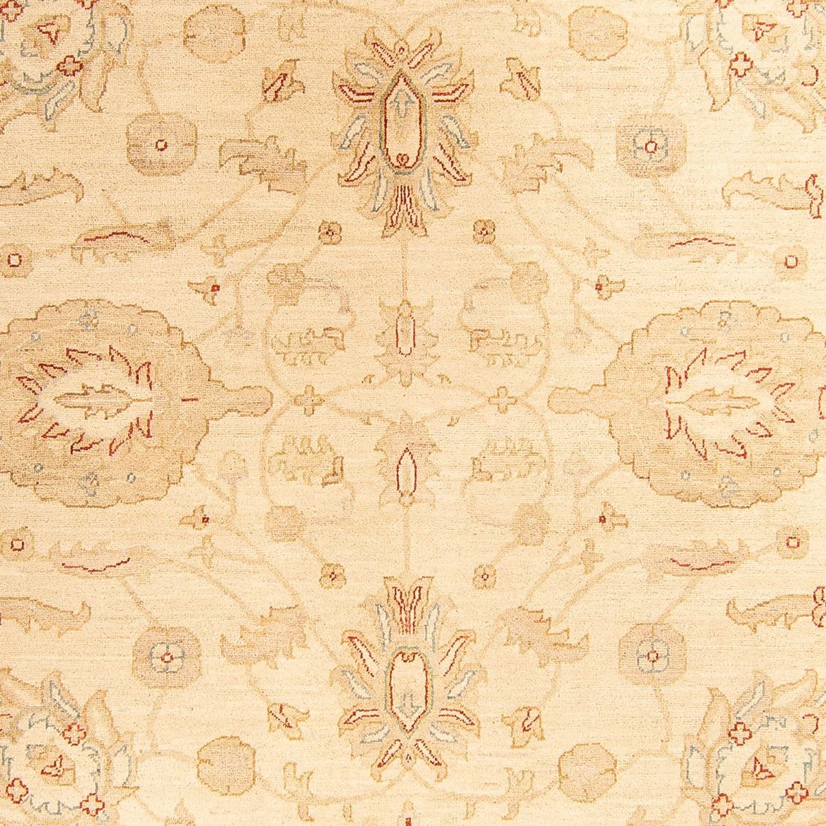 Ziegler Carpet - 307 x 212 cm - beige
