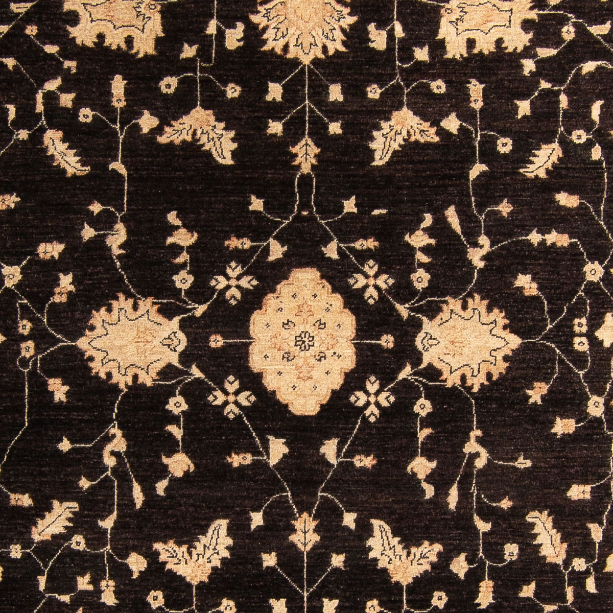Ziegler Carpet - 296 x 209 cm - mörkbrun