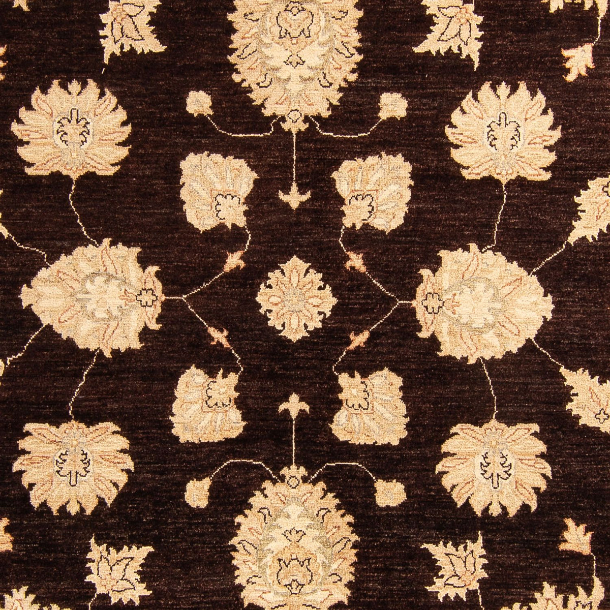 Ziegler Carpet - 288 x 207 cm - mörkbrun