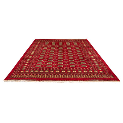 Pakistanska mattan 248x320cm - Oriental Carpet