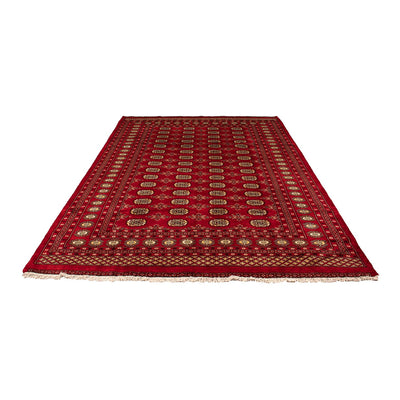 Pakistanska mattan 208x307cm - Oriental Carpet