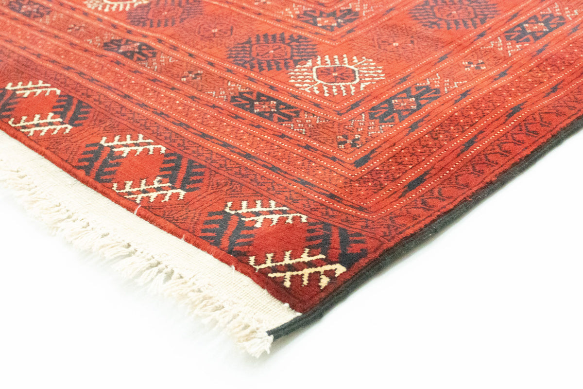 Afghansk matta - Bukhara - 295 x 192 cm - mörkbrun