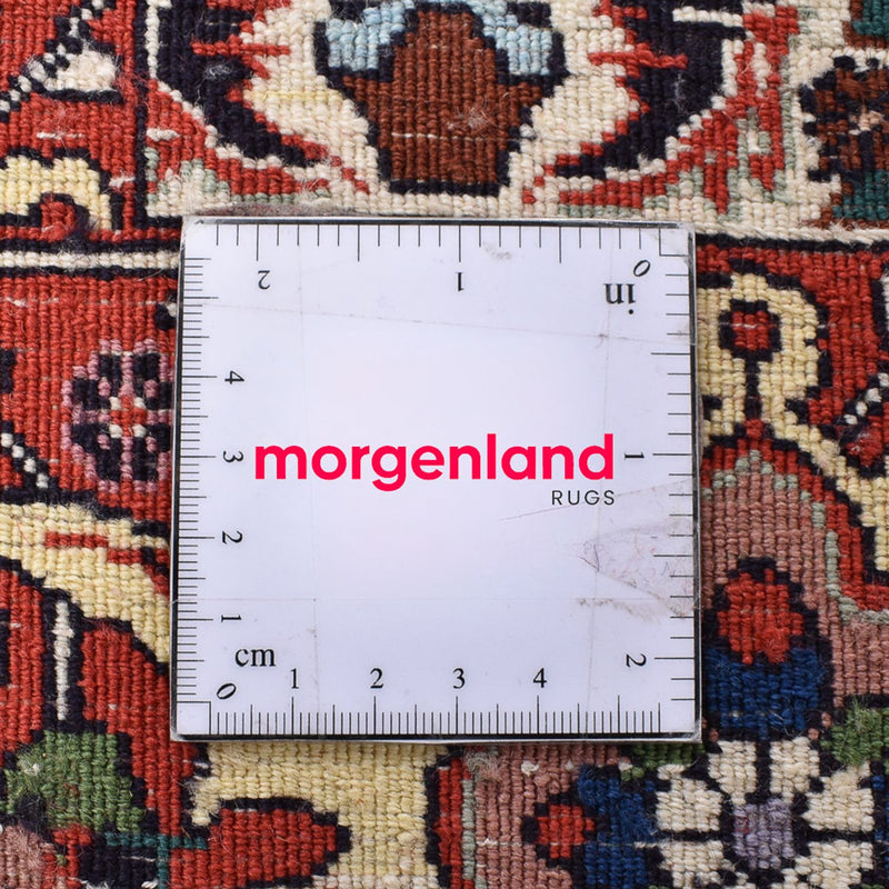 Persisk matta - Bijar - 264 x 204 cm - rost