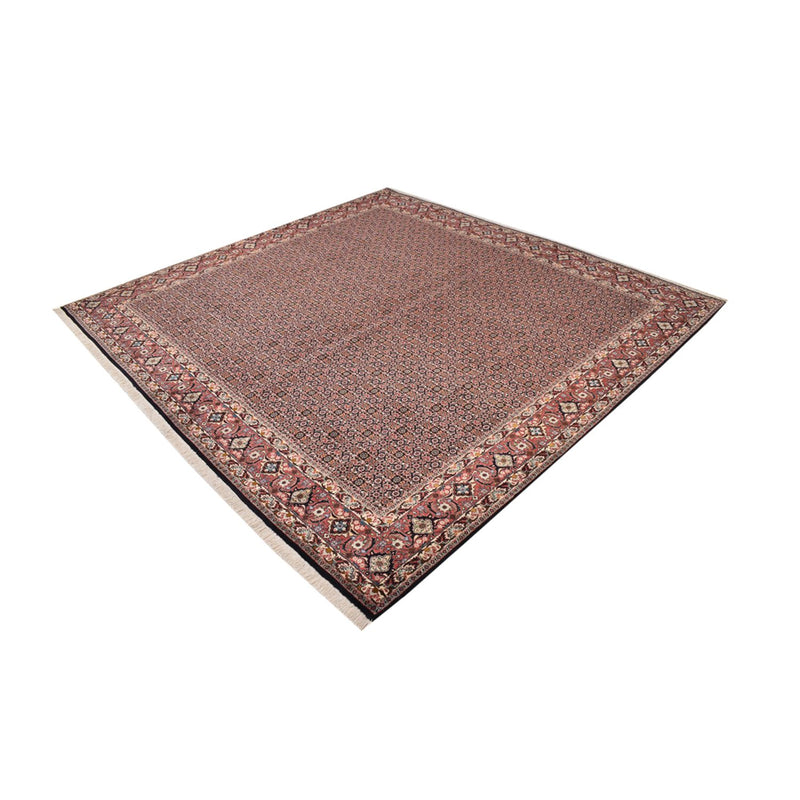 Persisk matta - Bijar kvadrat  - 303 x 293 cm - rost