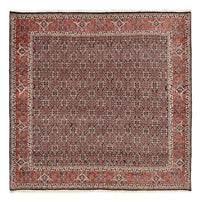 Persisk matta - Bijar kvadrat  - 205 x 205 cm - rost – product image