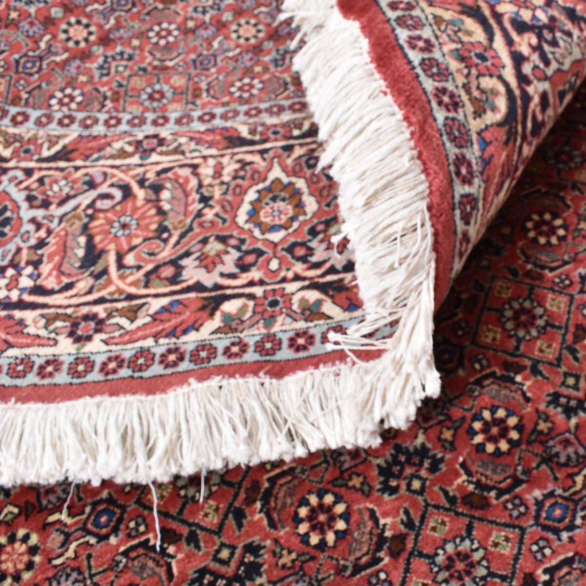 Persisk matta - Bijar runt  - 255 x 255 cm - rost