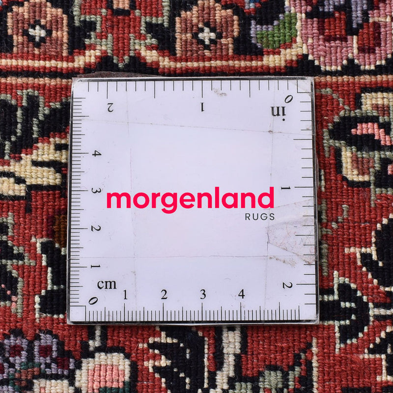 Persisk matta - Bijar - 305 x 203 cm - rost