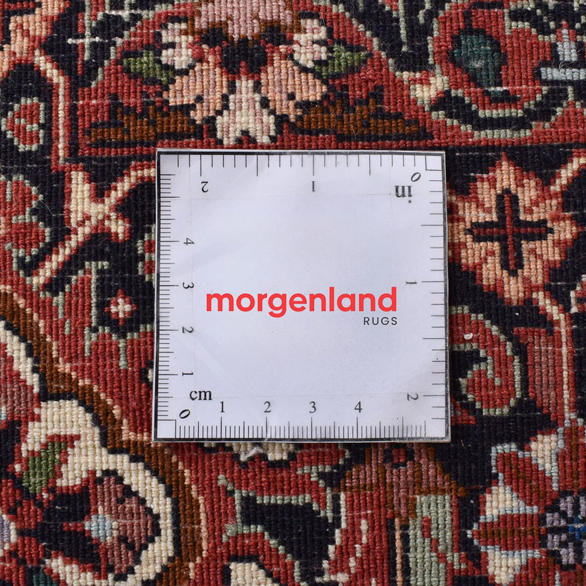 Persisk matta - Bijar - 345 x 254 cm - rost