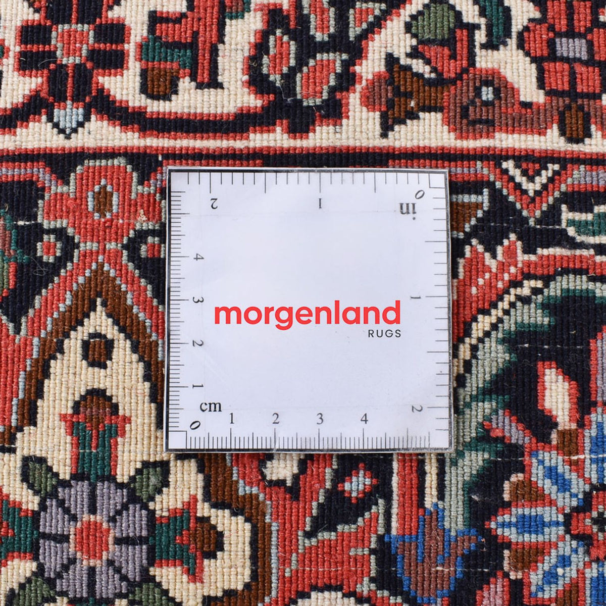 Persisk matta - Bijar - 350 x 254 cm - rost