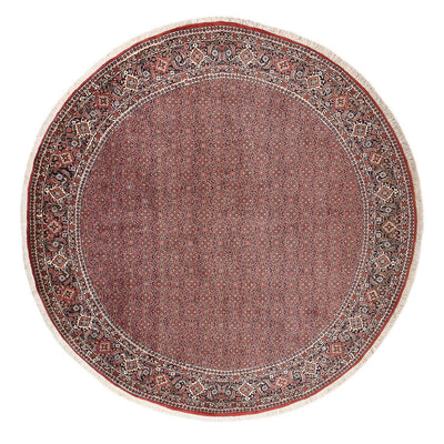 Bidjar Mattan 300x300cm - Persisk matta