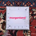 Persisk matta - Bijar - 305 x 203 cm - rost