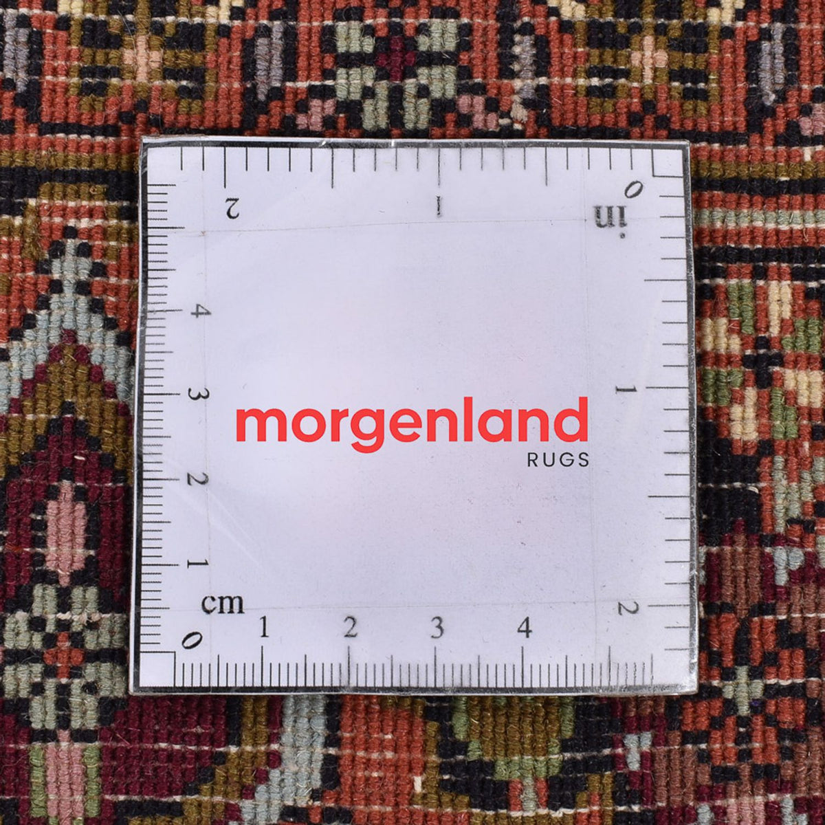 Persisk matta - Bijar - 251 x 150 cm - rost