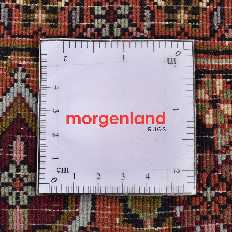 Persisk matta - Bijar - 251 x 150 cm - rost