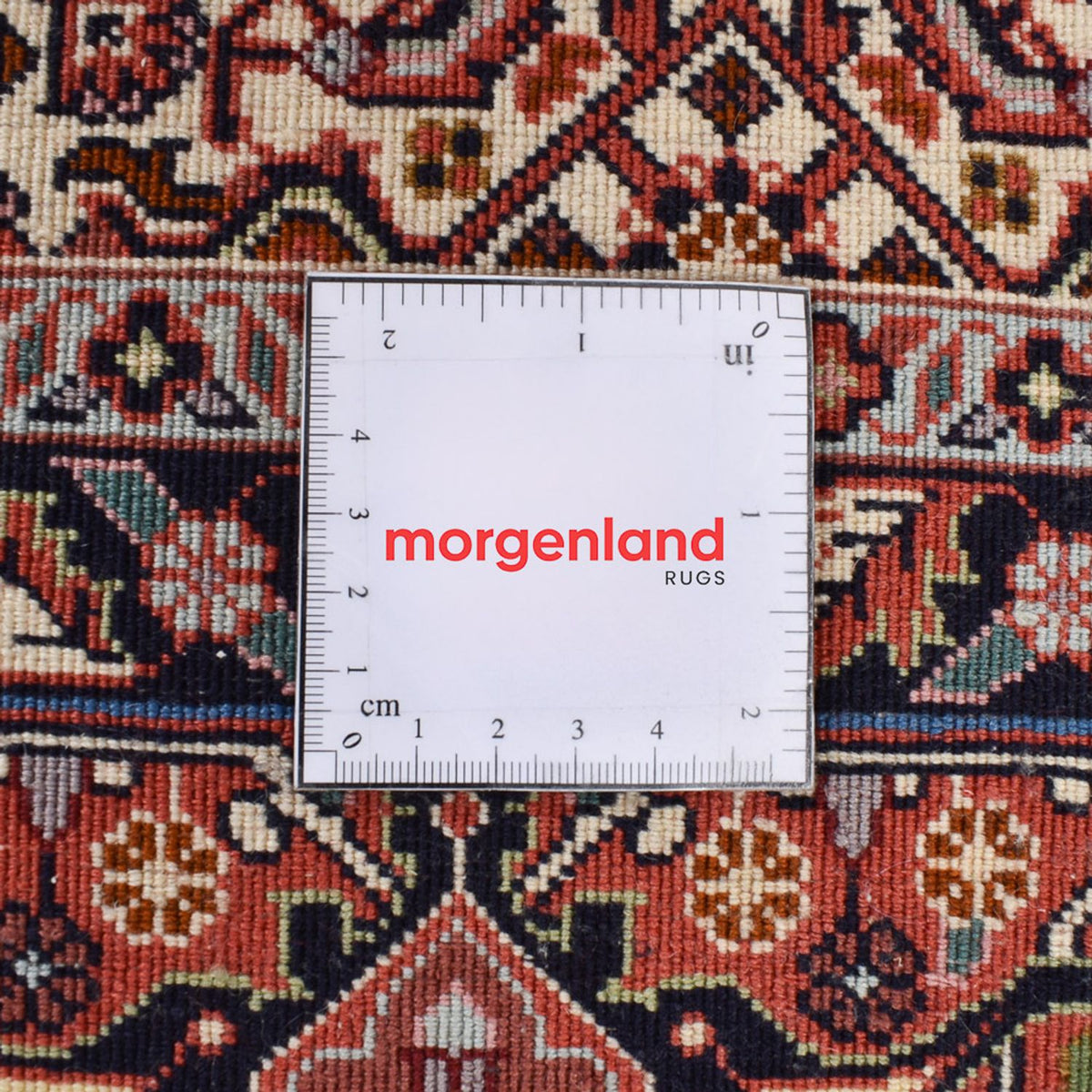 Persisk matta - Bijar - 300 x 203 cm - rost