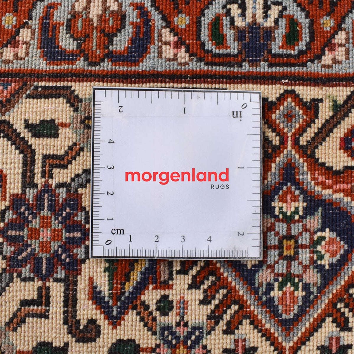 Persisk matta - Bijar - 295 x 196 cm - rost