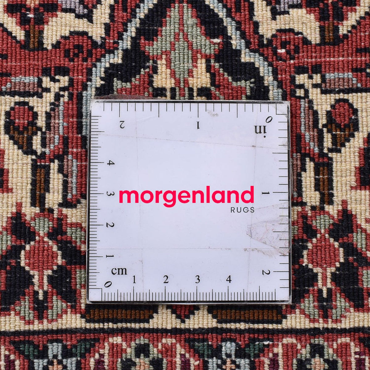 Persisk matta - Bijar - 250 x 204 cm - rost