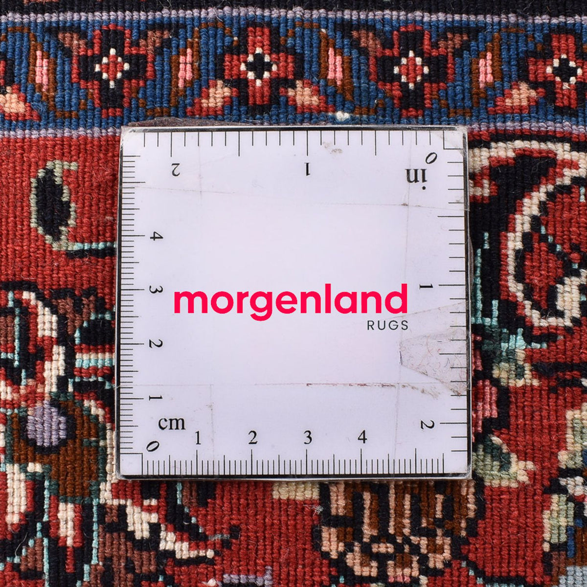 Persisk matta - Bijar - 294 x 202 cm - ljusbeige