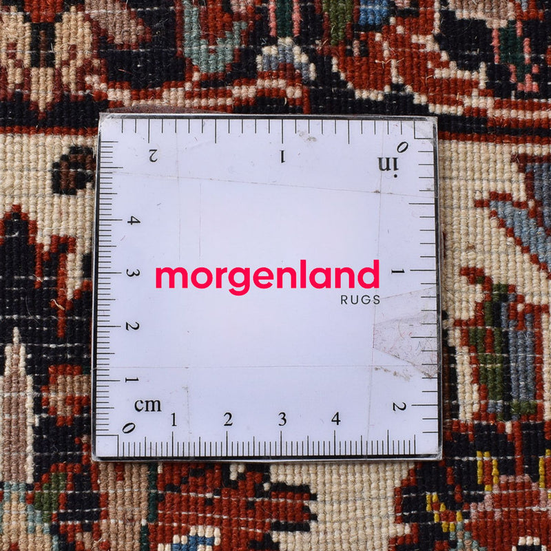 Persisk matta - Bijar - 295 x 200 cm - rost