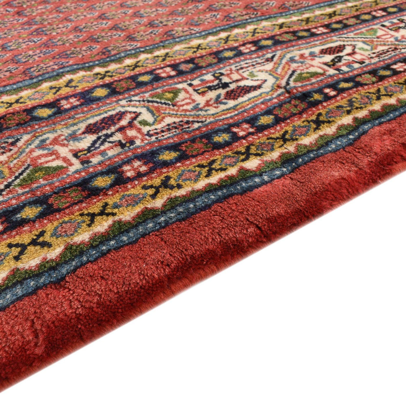 Sarouk Mattan 318x210cm - Persisk matta