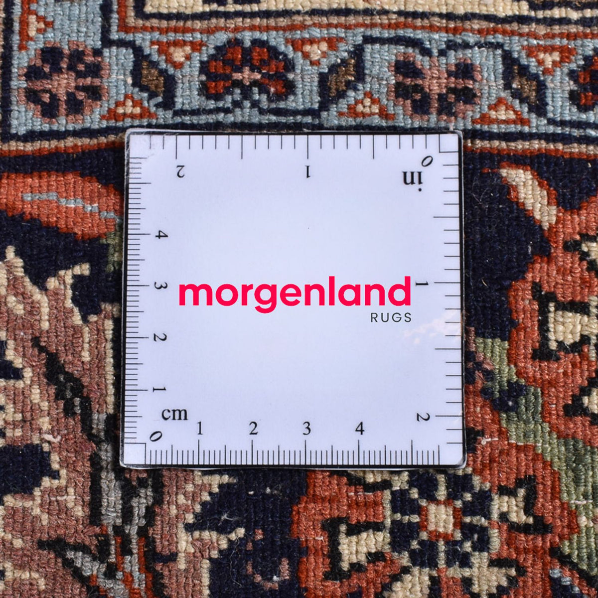 Persisk matta - Bijar - 310 x 200 cm - ljusbeige