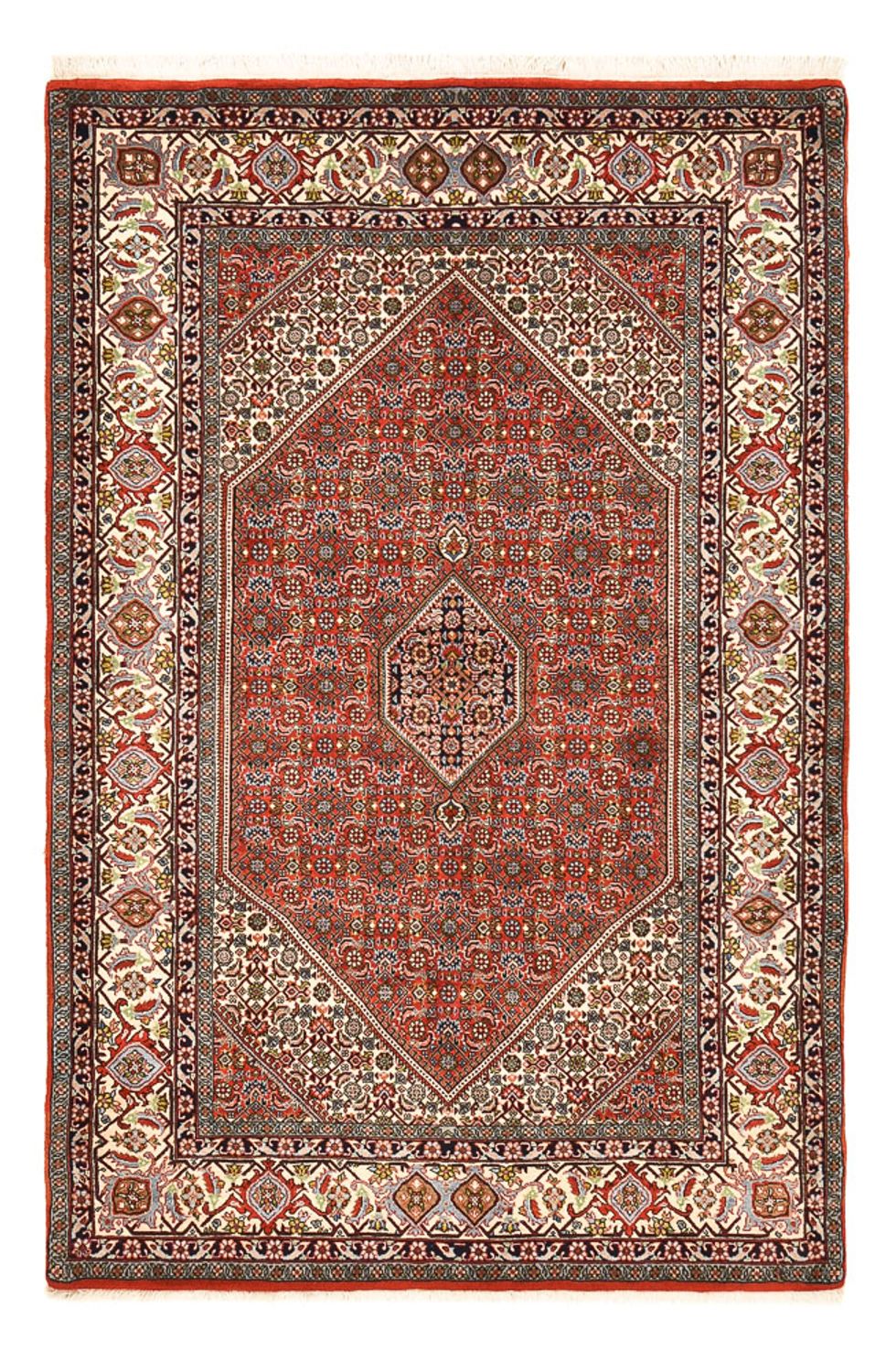 Persisk matta - Bijar - 222 x 138 cm - rost