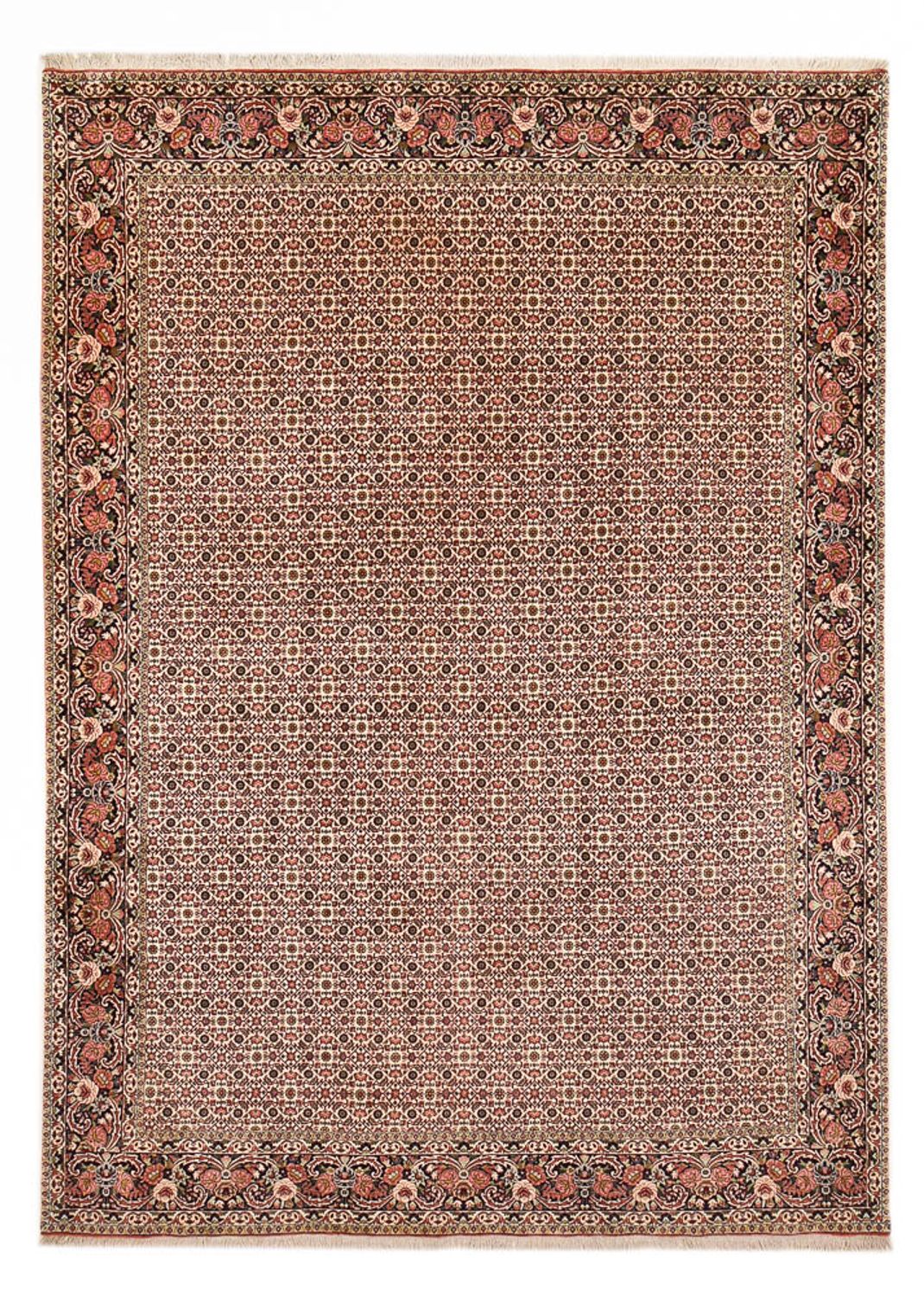 Persisk matta - Bijar - 350 x 245 cm - rost