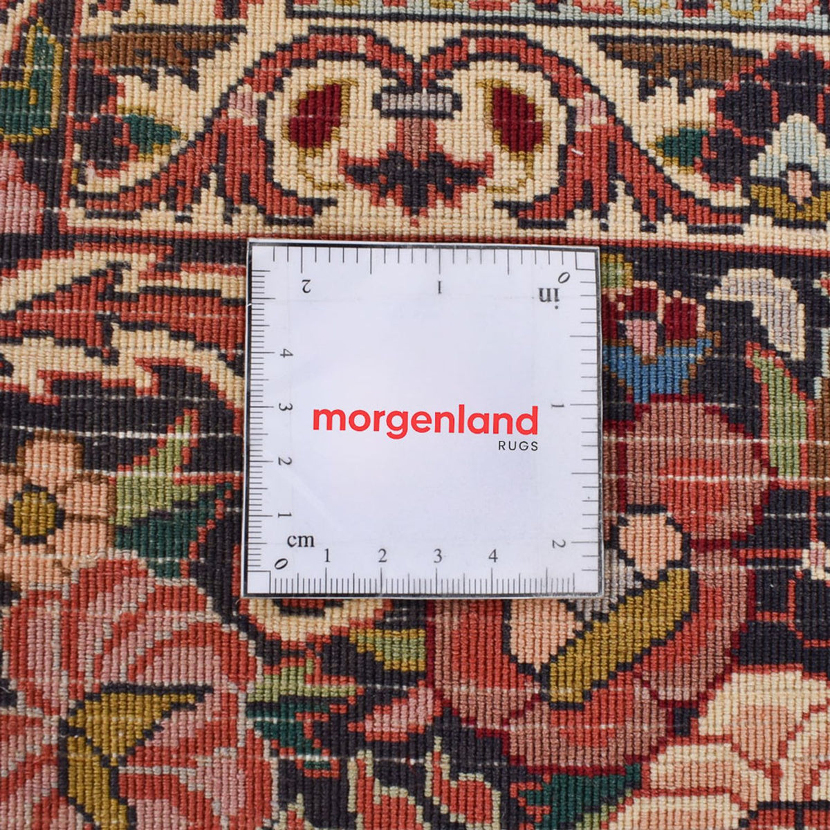 Persisk matta - Bijar - 350 x 245 cm - rost