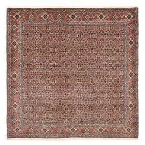 Persisk matta - Bijar kvadrat  - 204 x 203 cm - rost