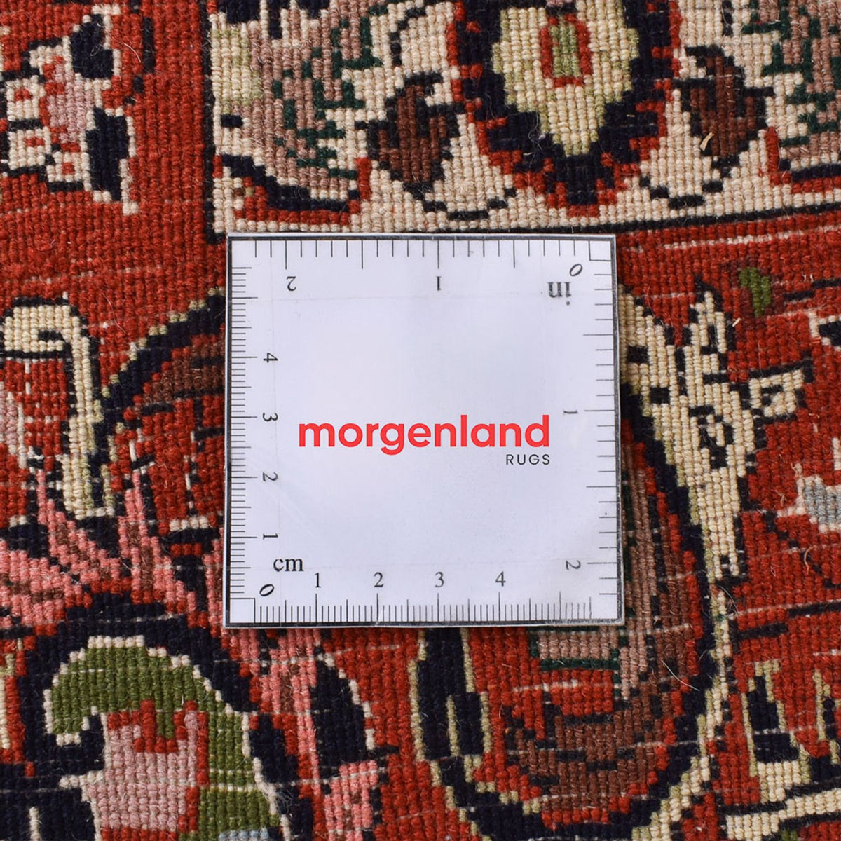 Persisk matta - Bijar - 300 x 198 cm - rost