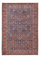 Meymeh Mattan 305x208cm - Persisk matta
