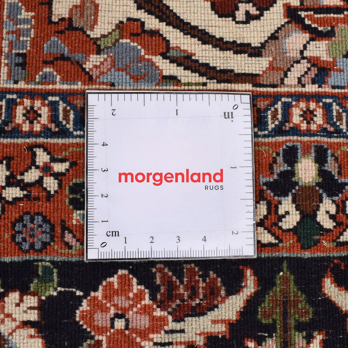 Persisk matta - Bijar - 292 x 204 cm - grädde